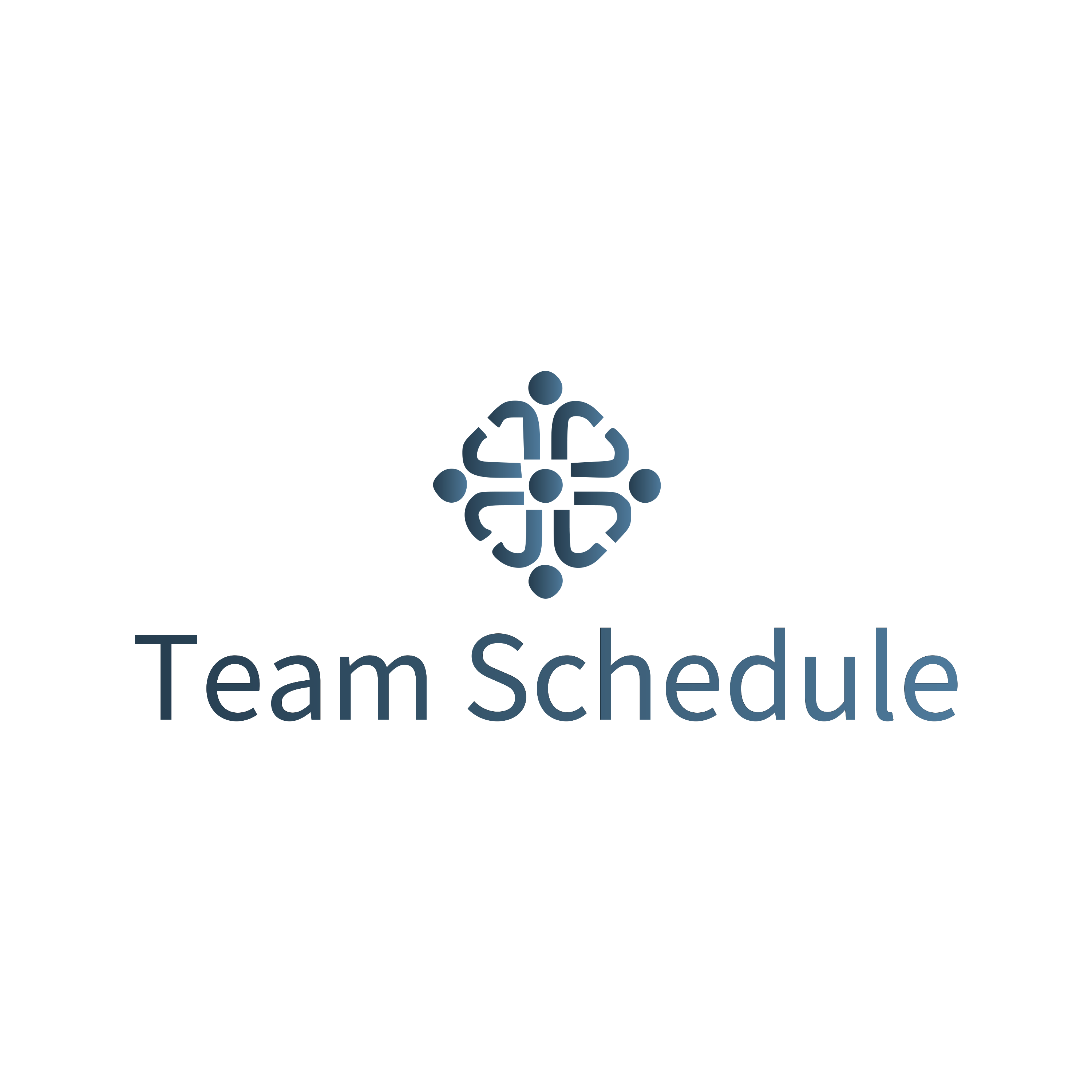 Team Schedule